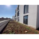i83rjk8zpc39sl7xvh1cc.jpg