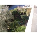 original_1643538914_img_0541.jpg