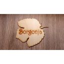 original_1674045065_borgonja1.jpg
