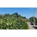 original_1690477144_snimka-zaslona-2023-07-27-185722.png