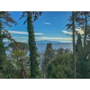 original_1707311843_dji_20240202_140757_893.jpg