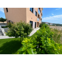original_1784905815_chatgpt-image-jul-24-2026-03_03_03-pm.png