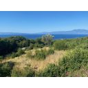 original_1722420821_img_7881.jpg