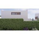 original_1742399251_d-07.png