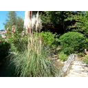 original_1737805452_croatia-istria-real-estate-for-sale-420.jpg