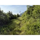 original_1773244497_img_4460.jpg