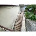 original_1726503273_img_9461.jpg