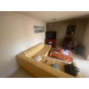 original_1726503323_img_9501.jpg