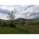 original_1773408300_gradevinsko-poljoprivredna_parcela4.jpg