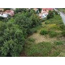 original_1727182674_dji_fly_20240919_162000_750_1726755608009_photo_optimized.jpg