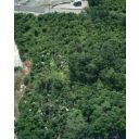 original_1782331799_dji_20260623092242_0060_d_cr.jpg