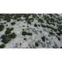 original_1780931023_dji_fly_20260605_200226_118_1780682634914_photo_optimized.jpg