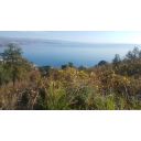 original_zemljiste-opatija-gradevinsko-10184m-prodaja-slika-100223177.jpg