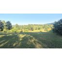 original_1781686316_whatsapp-image-2026-06-16-at-15.jpeg