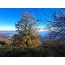 original_1783092708_6.jpeg