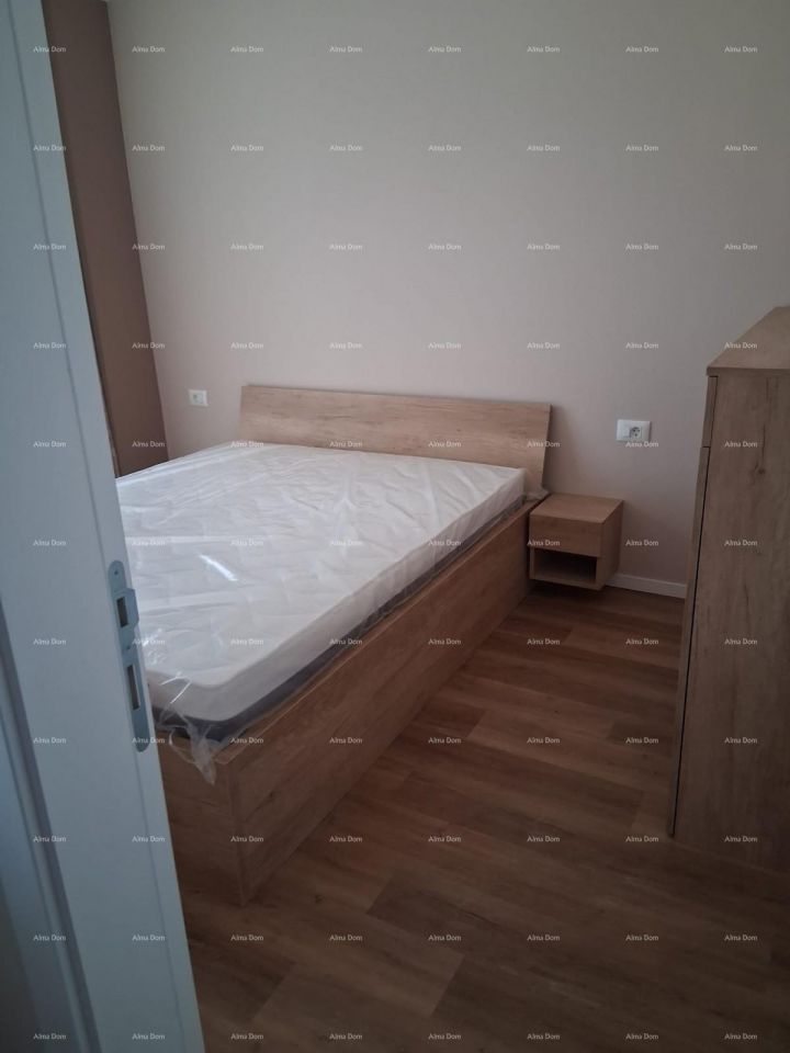 339tgbjgren5kulw3t1wc.jpg