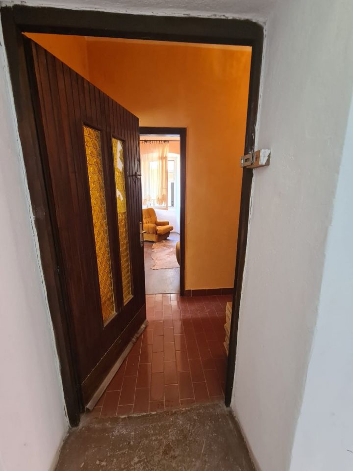 d209ayg75niatznbysfrc.jpg