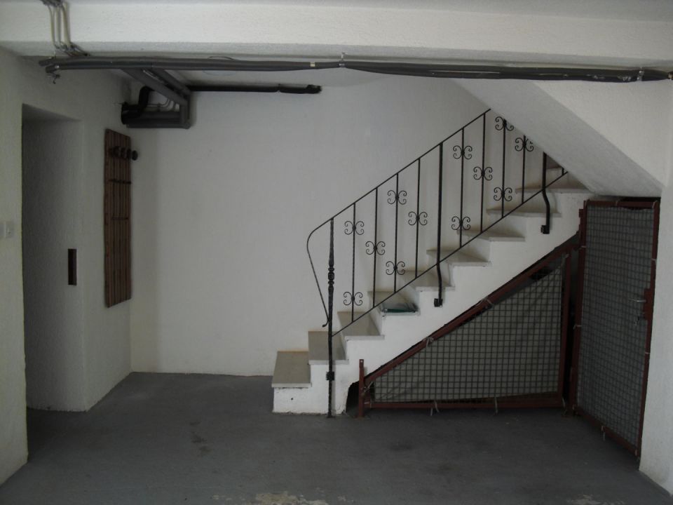 original_1643538654_img_0519.jpg