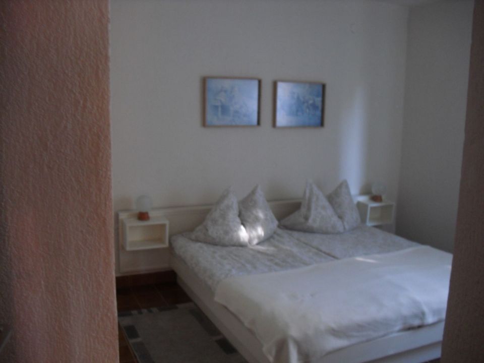 original_1643538787_img_0527.jpg