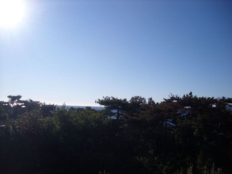 original_1643538909_img_0537.jpg