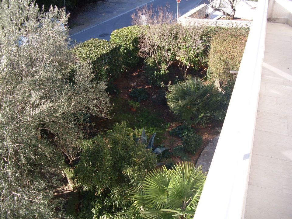 original_1643538914_img_0541.jpg