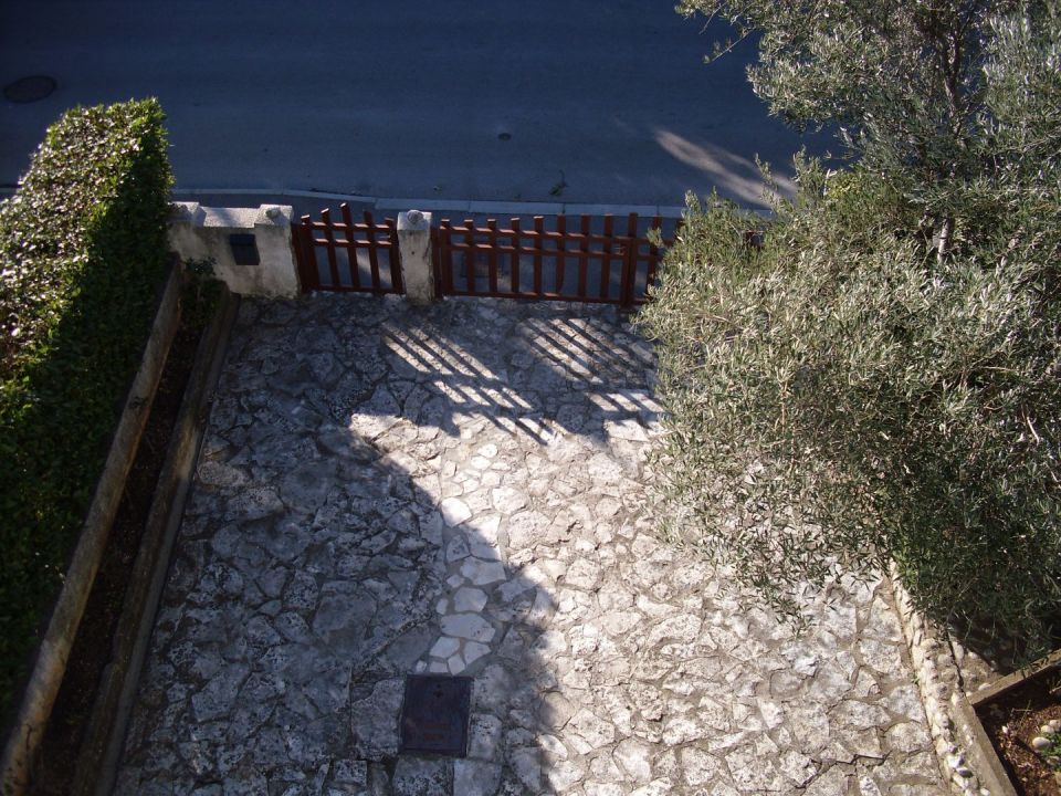 original_1643538918_img_0542.jpg