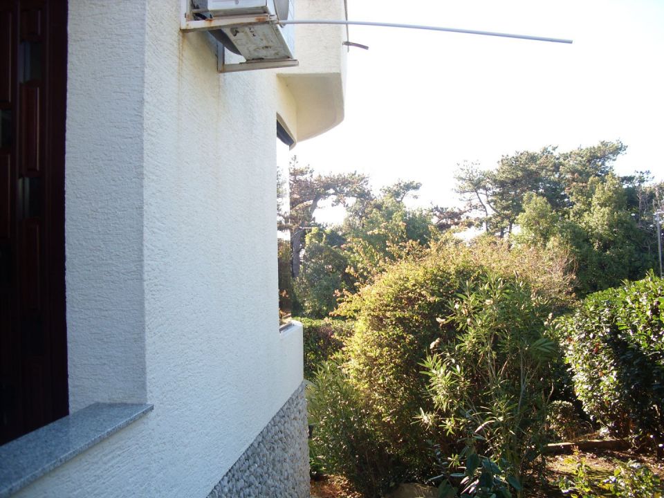 original_1643539150_img_0557.jpg