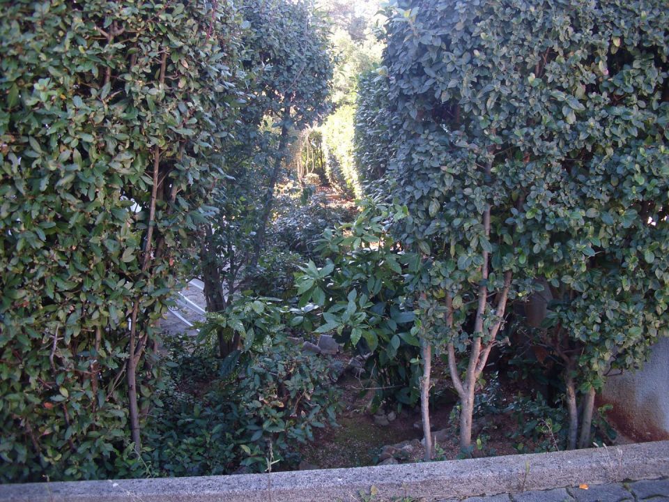 original_1643539318_img_0573.jpg