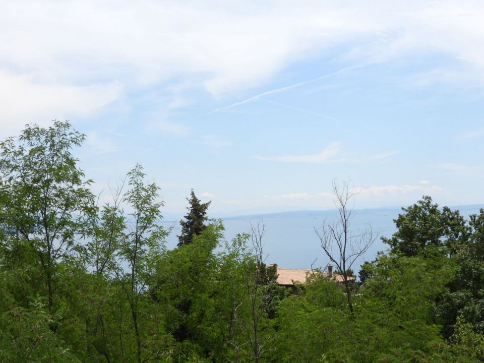 original_1654764822_dscn6839.jpg