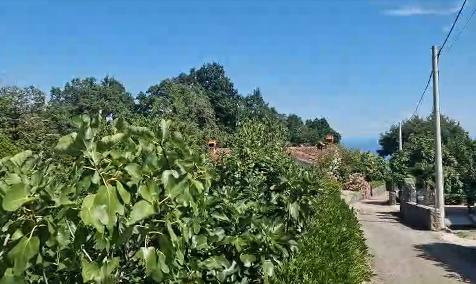 original_1690477144_snimka-zaslona-2023-07-27-185722.png