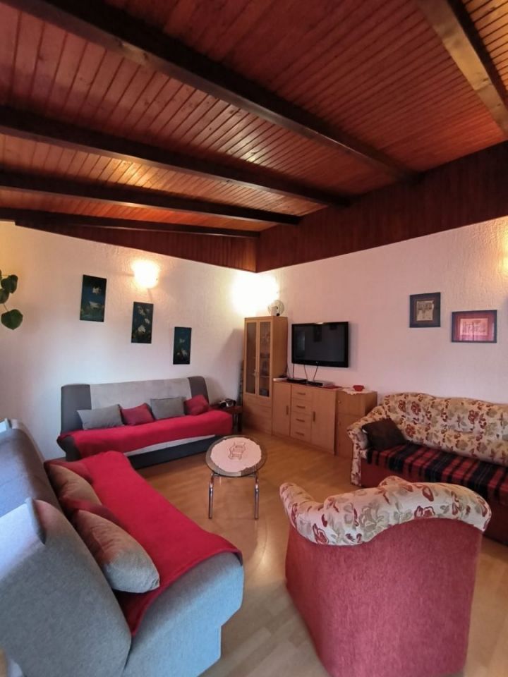 original_1691074416_rasetadnenvi444.jpg