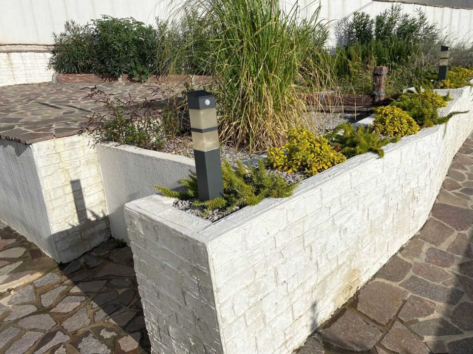 original_1699008423_img_9677.jpg