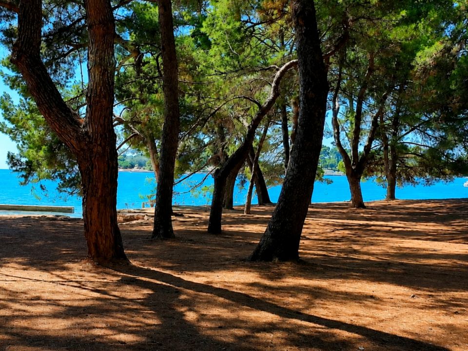 original_1787169129_croatia-istria-real-estate-for-sale-891.jpg