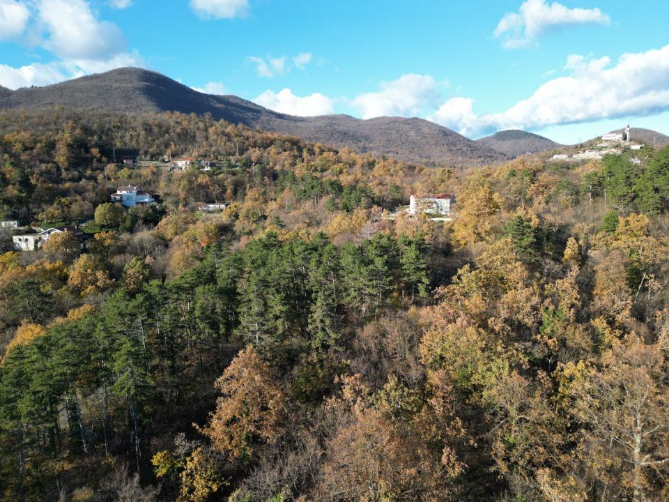 original_1701989916_dji_0637.jpg