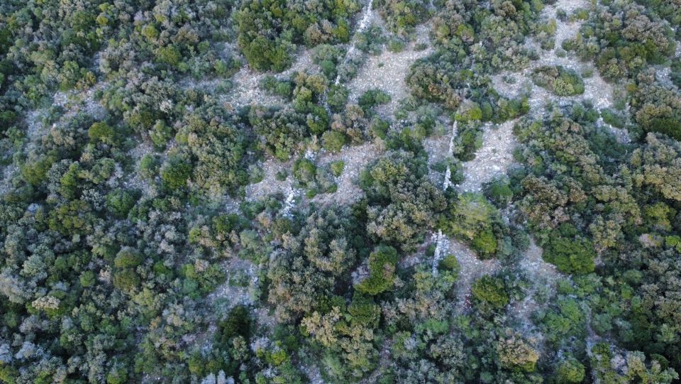 original_1712591360_dji_fly_20240217_171604_484_1708186605754_photo_optimized.jpg