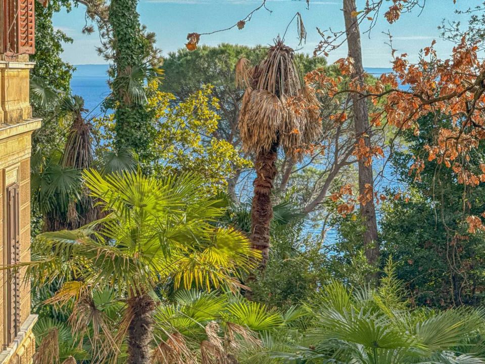 original_1707311705_dji_20240202_140424_993.jpg