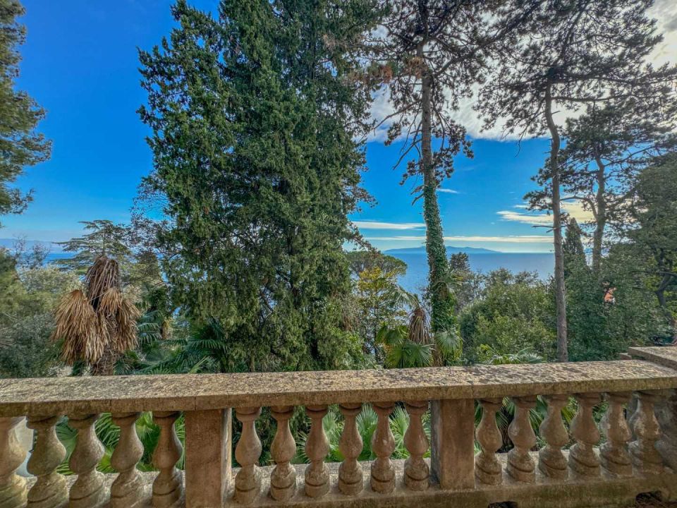 original_1707311823_dji_20240202_140728_447.jpg