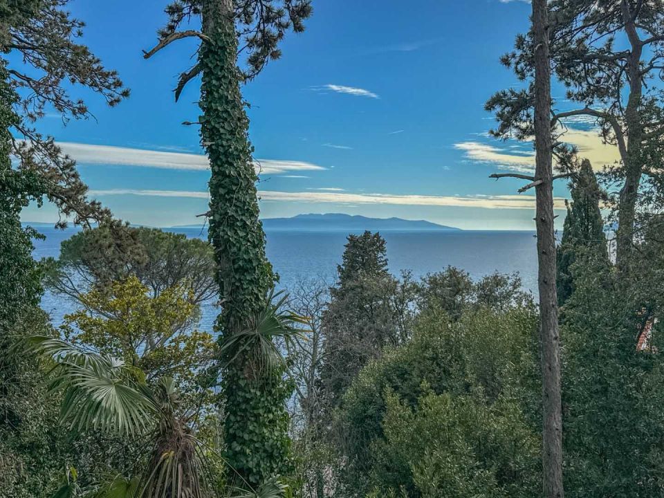 original_1707311843_dji_20240202_140757_893.jpg
