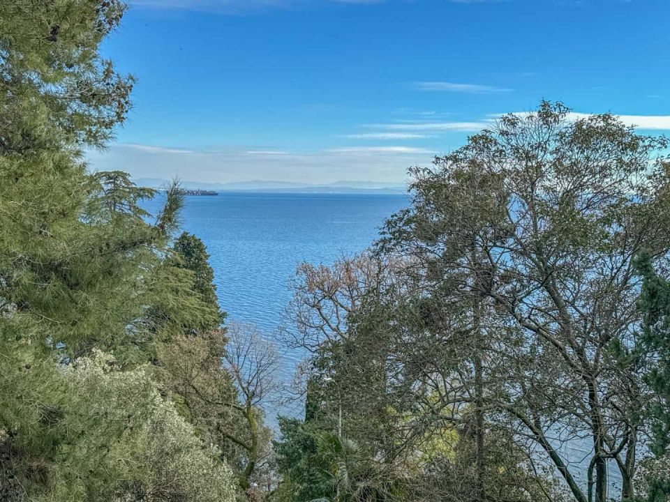 original_1707312046_dji_20240202_141527_000.jpg