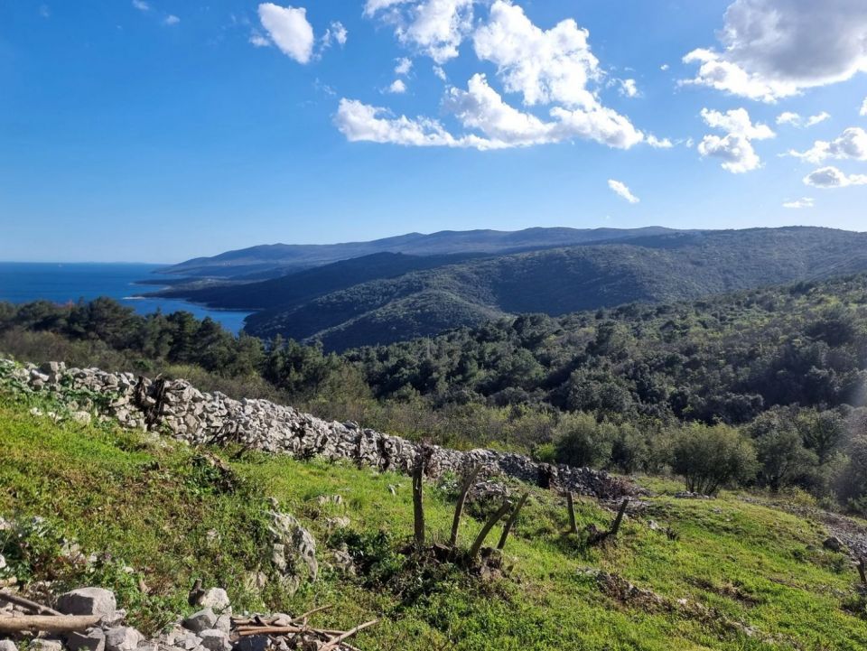 original_1712118860_istra-gradevinsko-zemljiste-pogled-na-more-prodaja-5.jpg