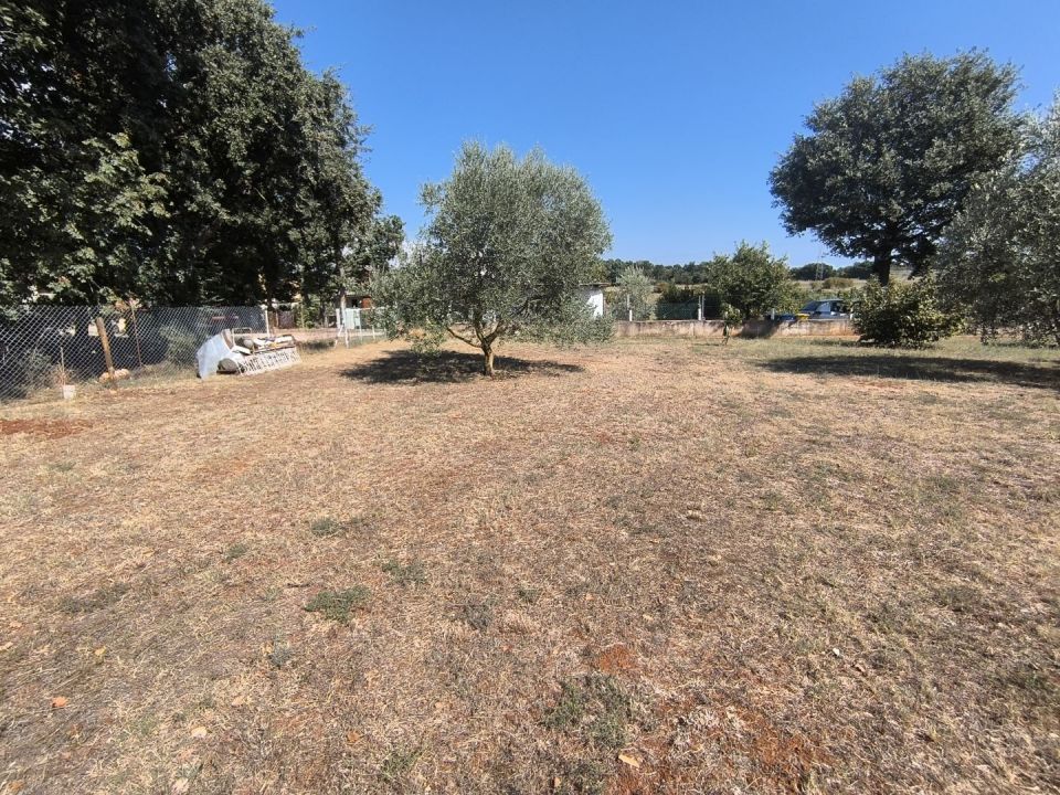 original_1723646865_img_20240813_153217.jpg