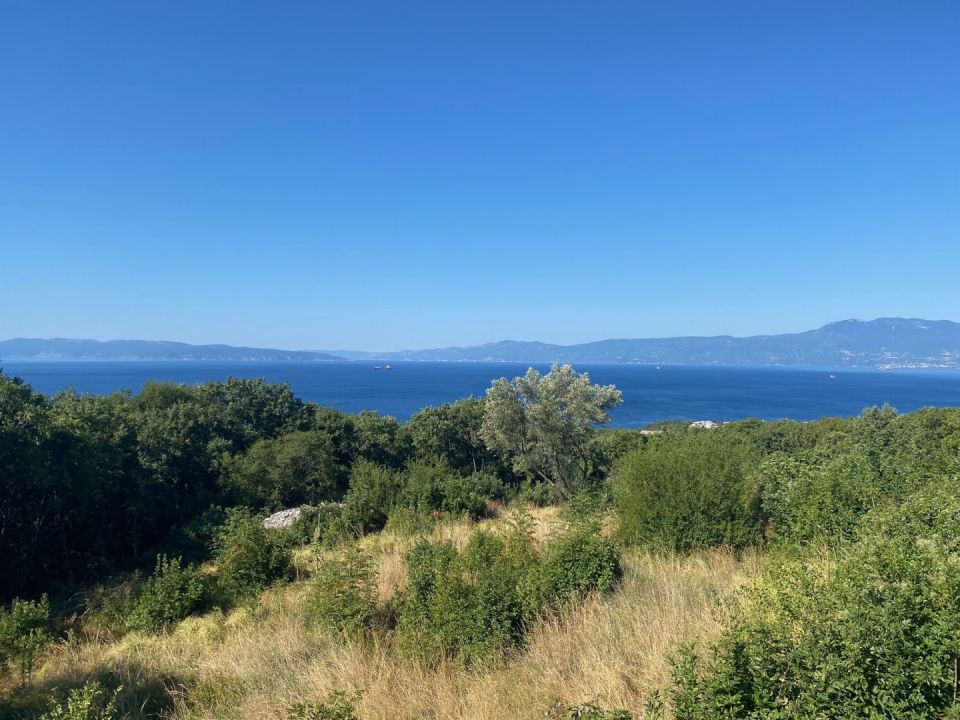 original_1722420816_img_7878.jpg