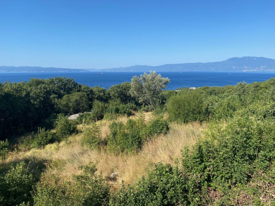 original_1722420821_img_7881.jpg