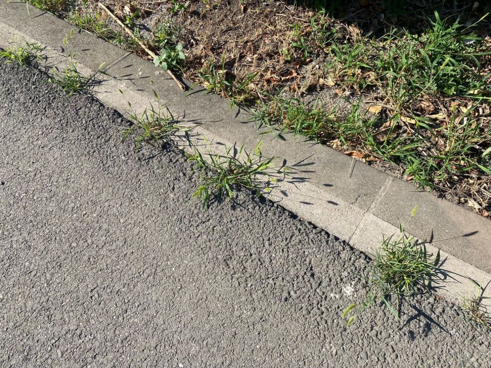 original_1722420828_img_7885.jpg