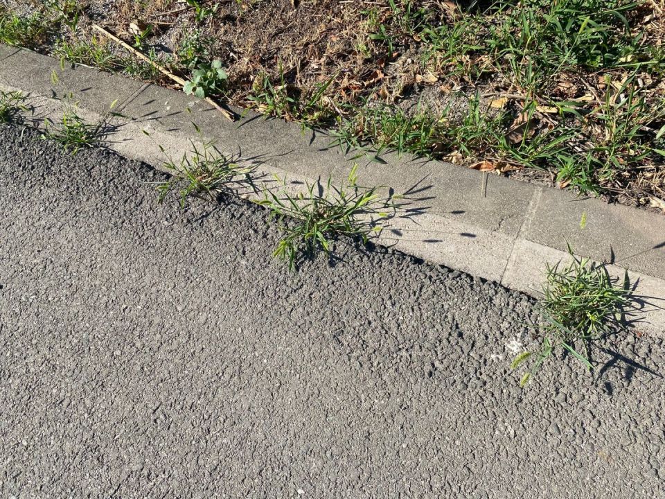 original_1722420831_img_7886.jpg