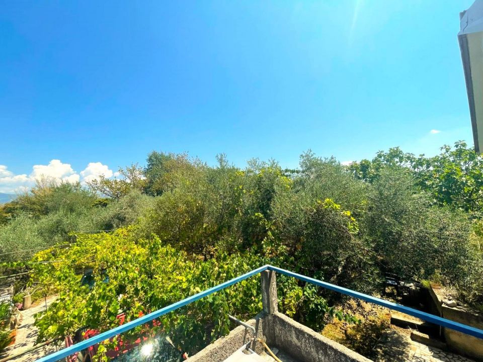 original_1728300065_1000090778.jpg