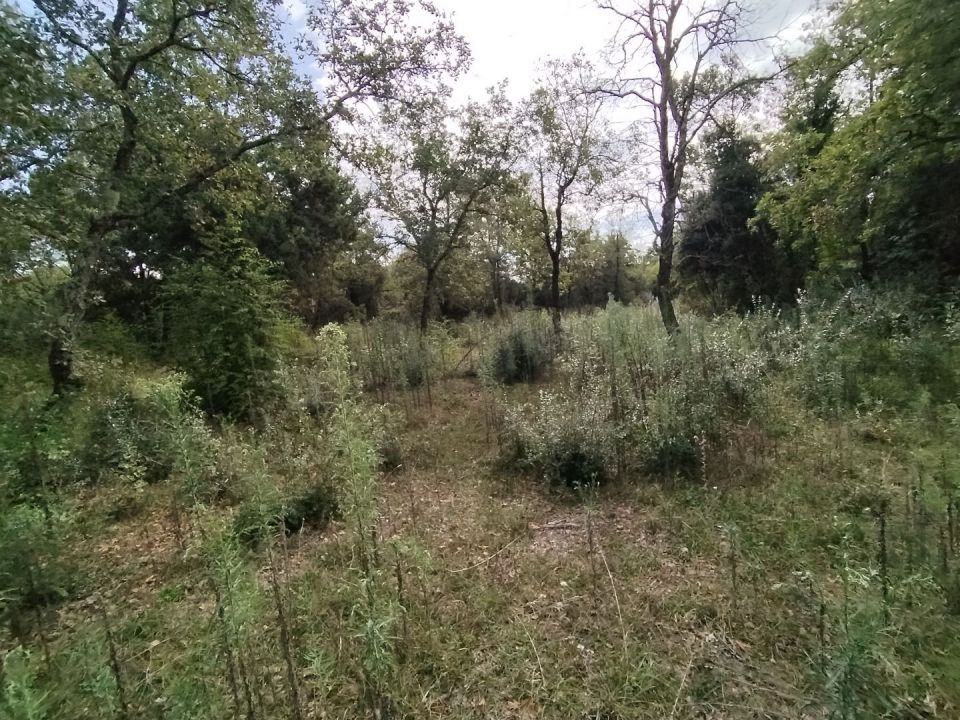 original_1727443477_img_20240926_112437.jpg