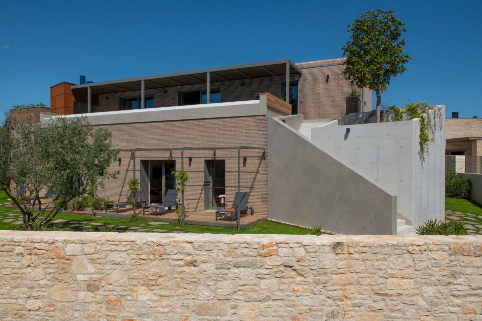 original_1663263931_arbor-blanco_3.jpg