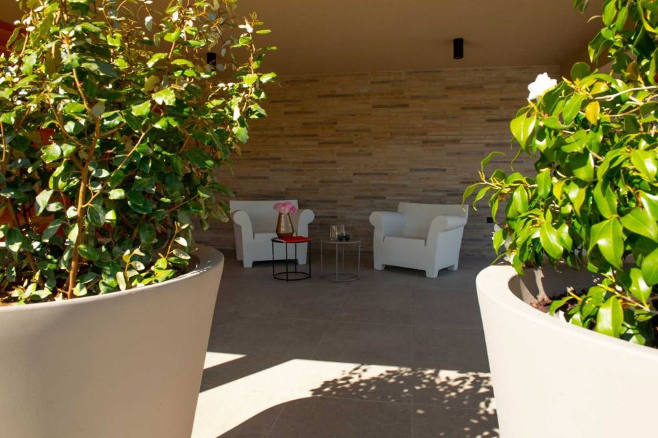 original_1663263991_arbor-blanco_7.jpg