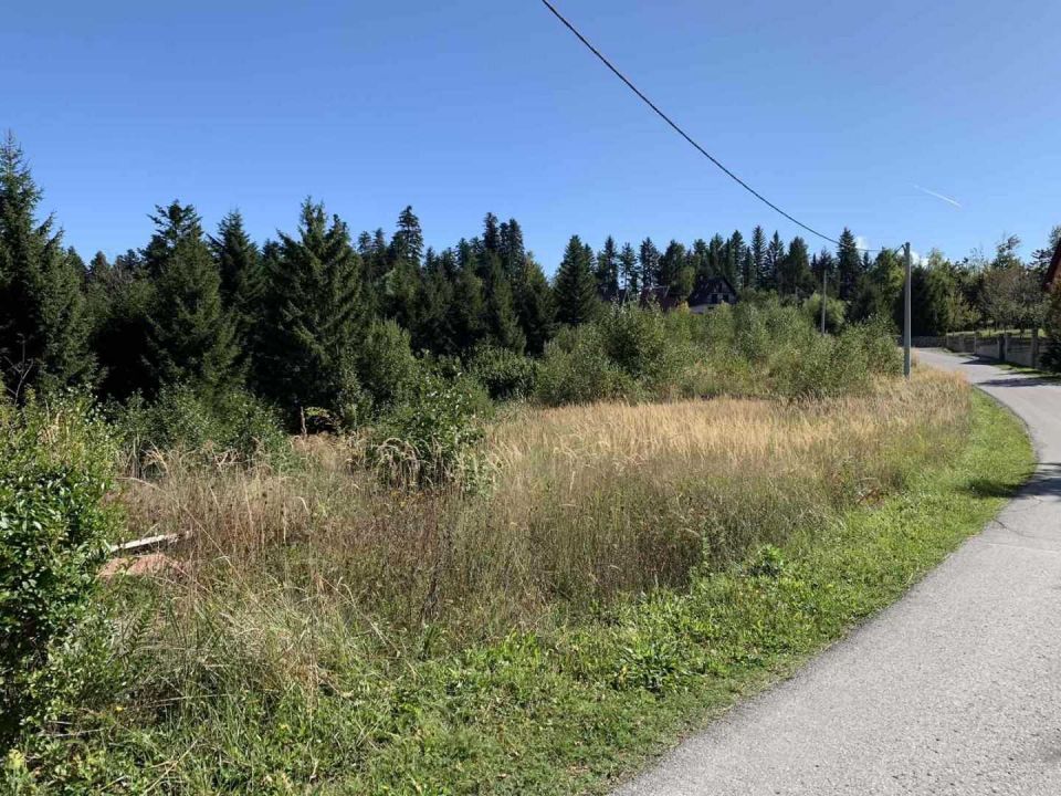 original_1569827708_img-ef39f2f0a04a6658812a61f7ad026fea-v.jpg